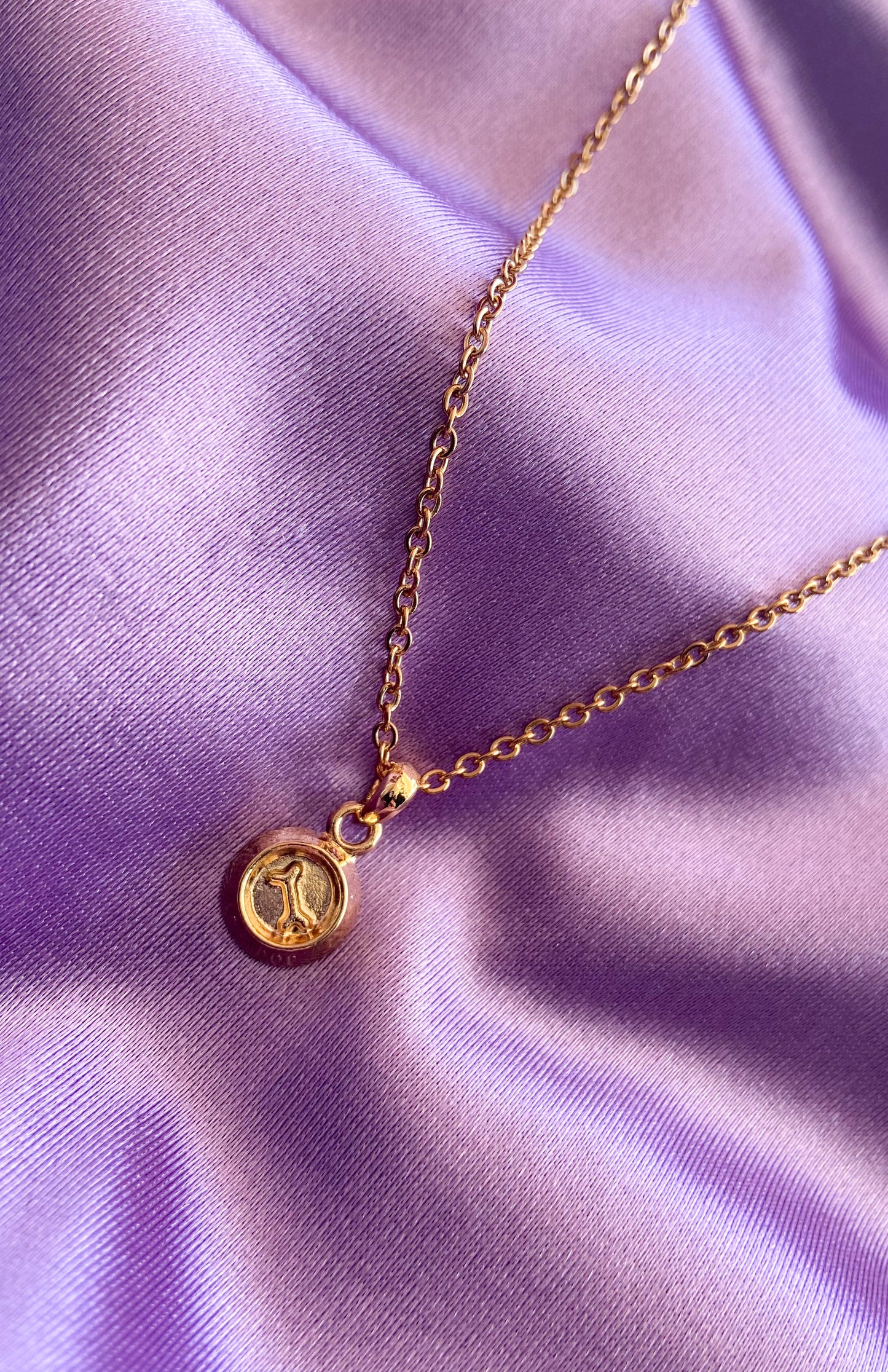 Collar plato perro #Y