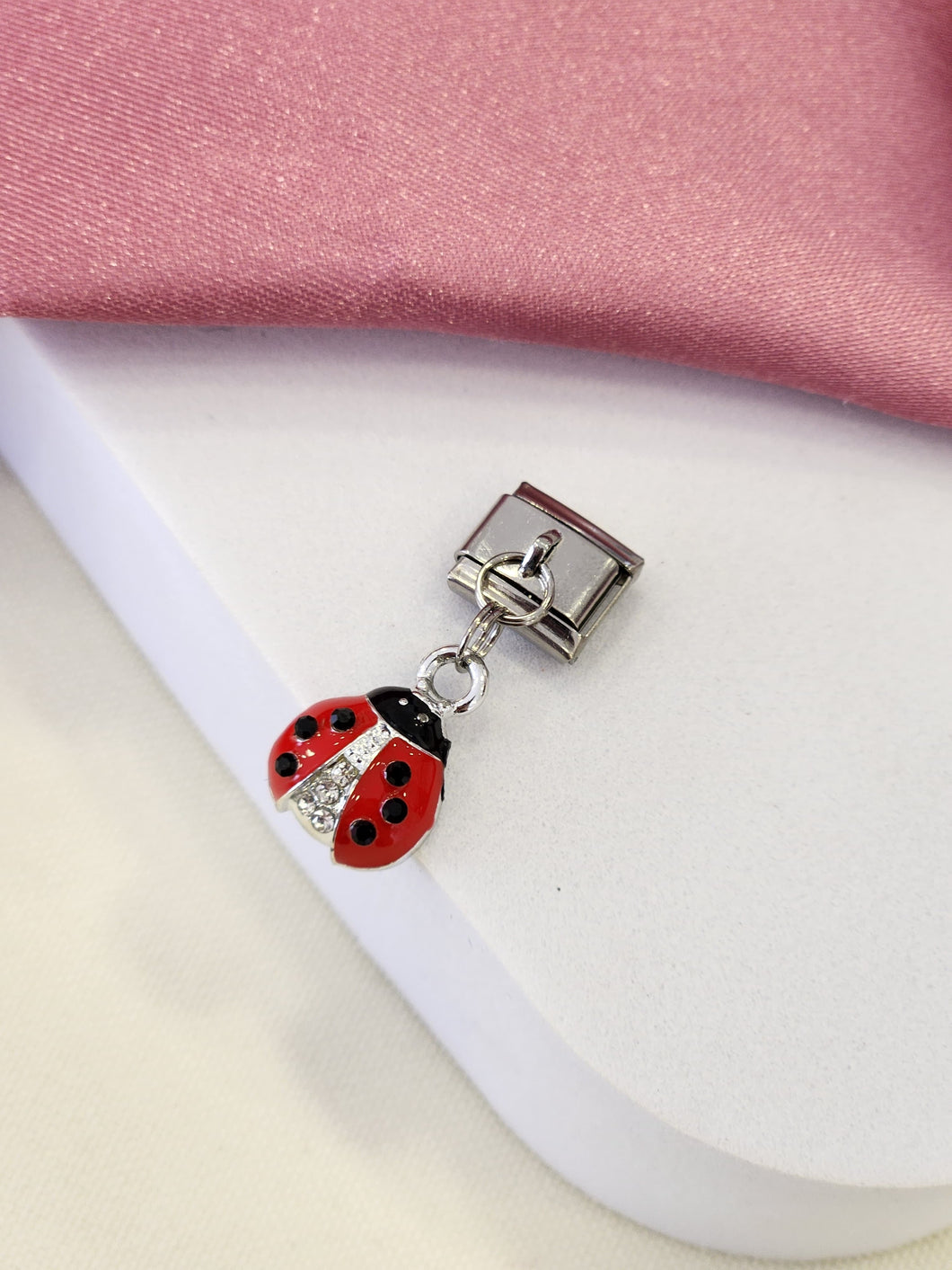 Charm catarina plateada #10