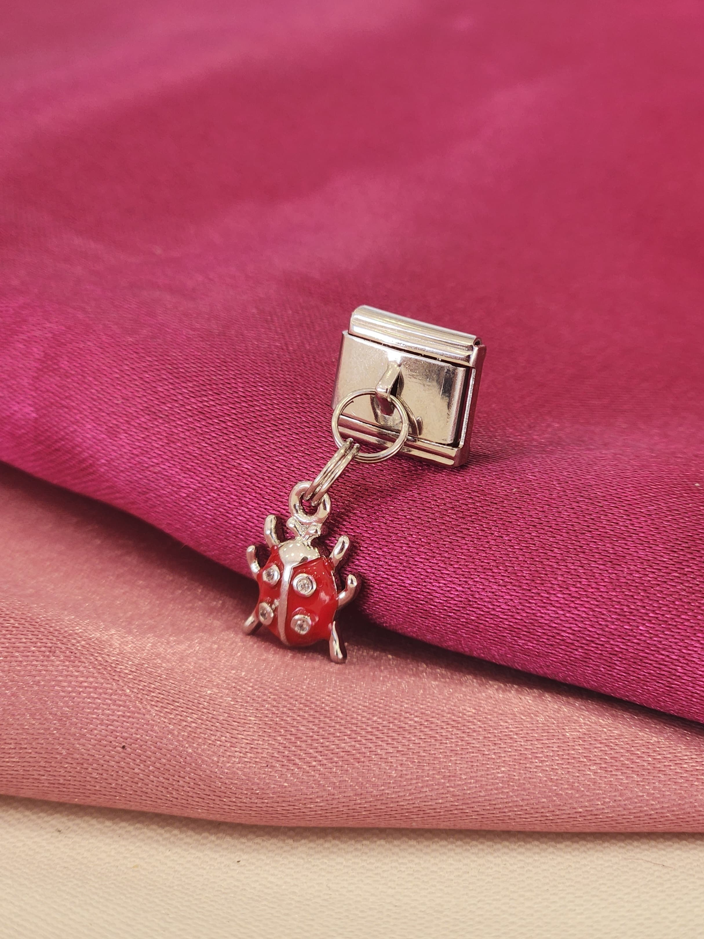 Charm catarina plateada estilo 2