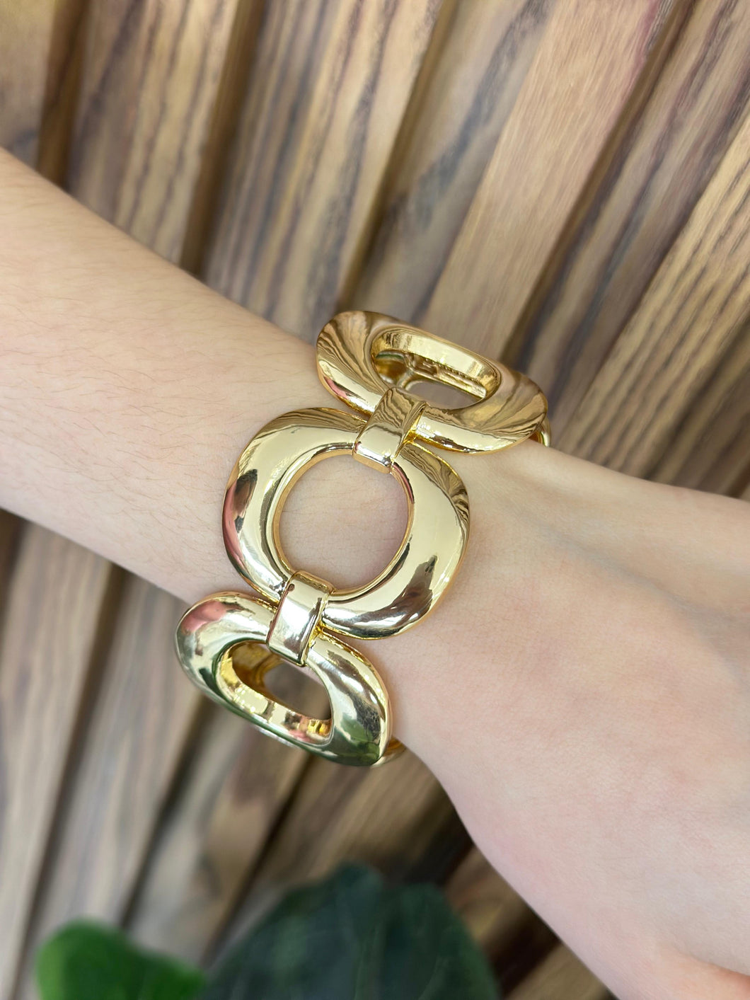Pulsera rigida eslabones redondos
