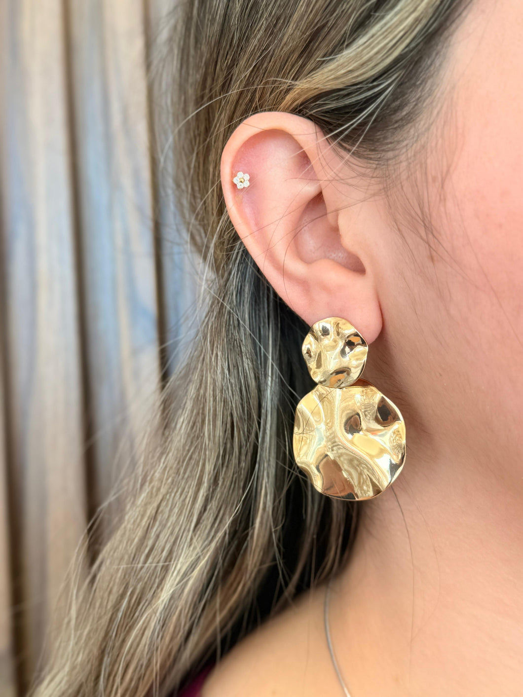 Aretes doble circulo colgante