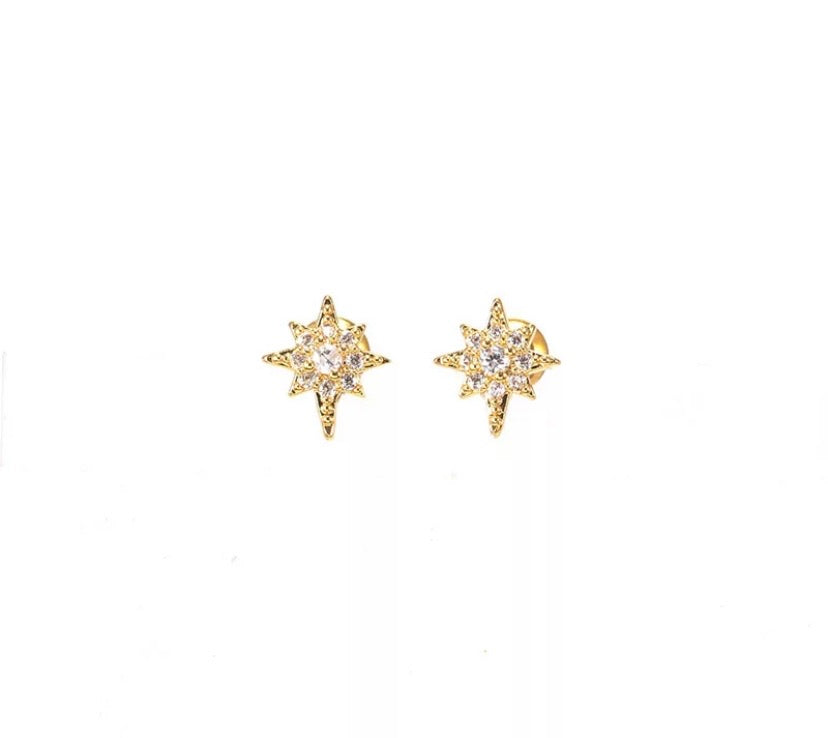 Aretes #27 broquel estrella 8 picos