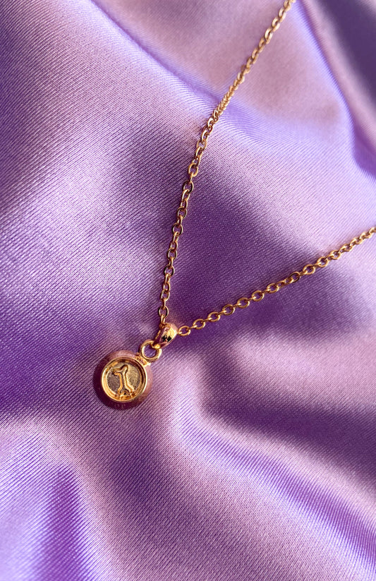 Collar plato perro #Y