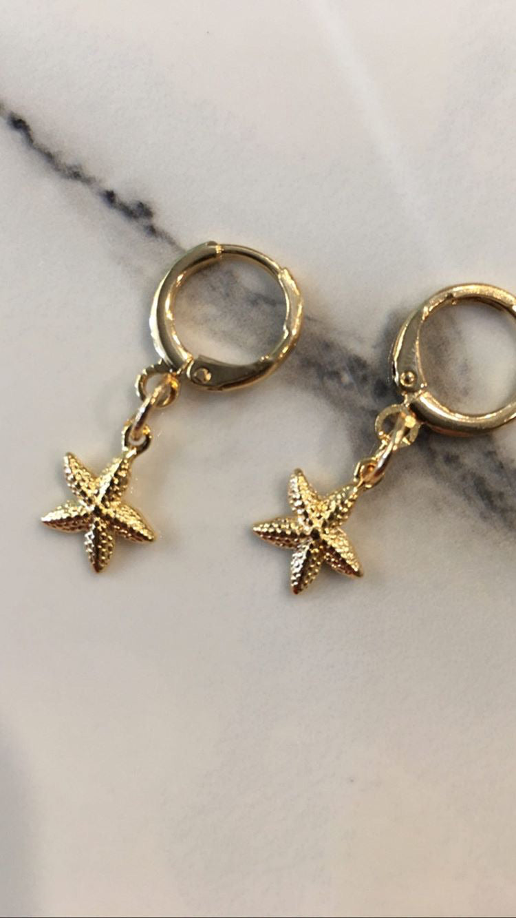 Aretes Estrella De Mar #E