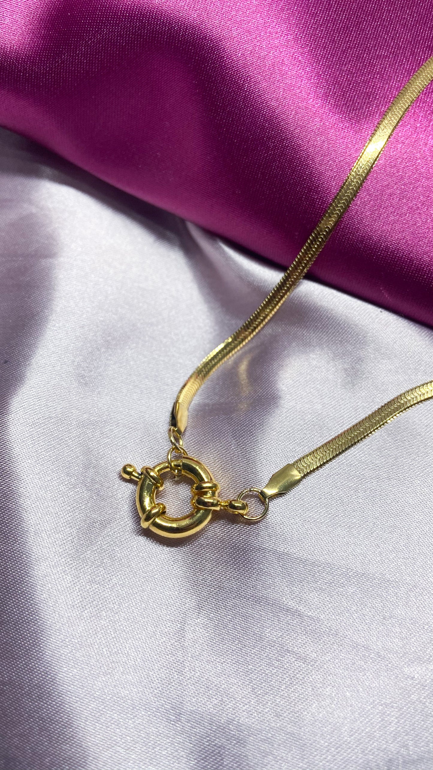 Collar plana con conector #M19