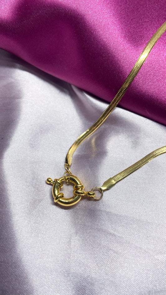 Collar plana con conector #M19